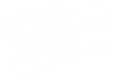 The dreams &amp; the stones – Inicio